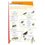 The best insect guide for kids - afbeelding 5