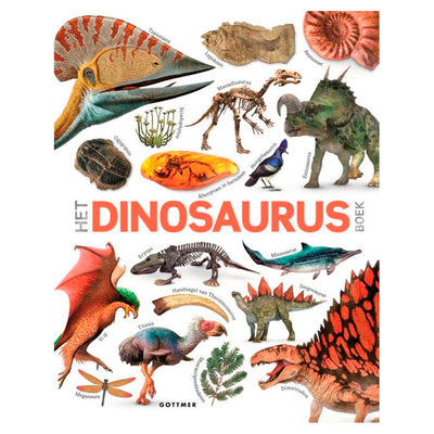Gruppo editoriale Gottmer il libro sui dinosauri