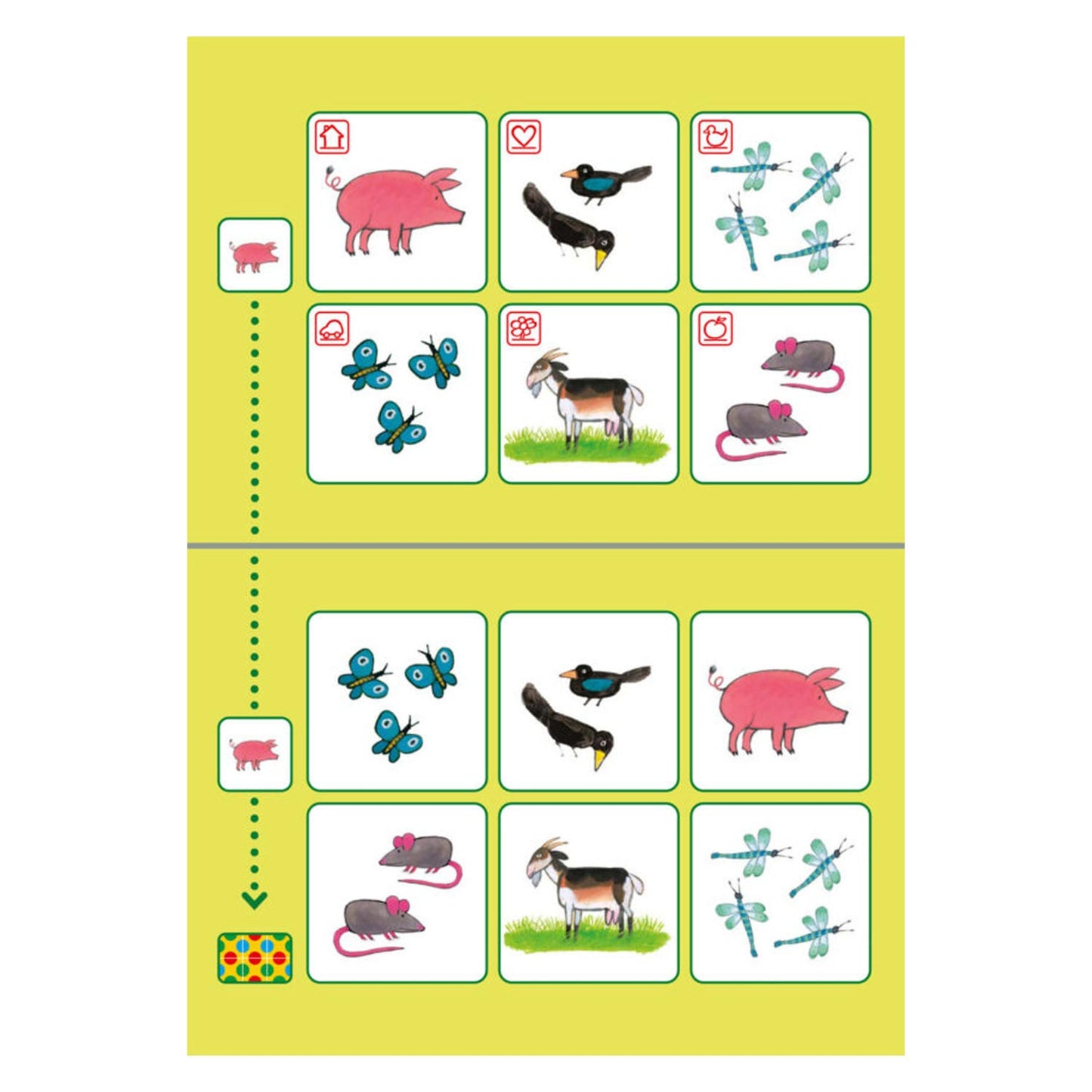 Bambino Loco Package Frog Playing and Learning