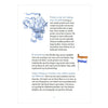 Editori WPG il ragazzo volante