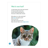 Editori WPG che è un gatto - avi e3 - afbeelding 2