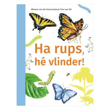 Editori WPG: ehi bruco, ehi farfalla! -avi m4 - afbeelding 1