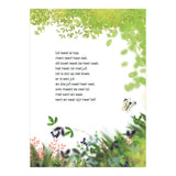 Editori WPG lot e ot - avi start - afbeelding 4