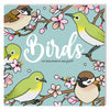 Libro para colorear - pájaros nuevos