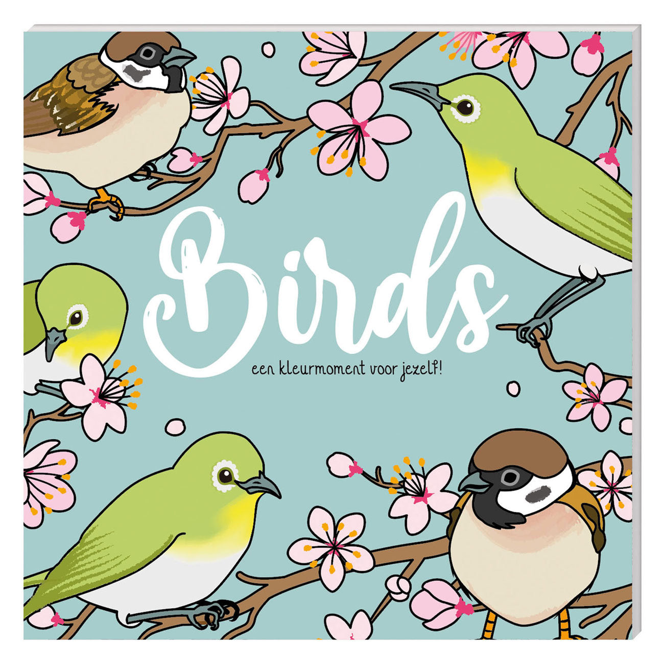 Libro para colorear - pájaros nuevos