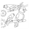Libro para colorear - pájaros nuevos