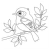 Libro para colorear - pájaros nuevos
