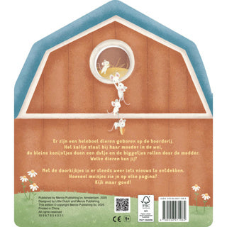 Boek little dutch mijn doorkijkboek