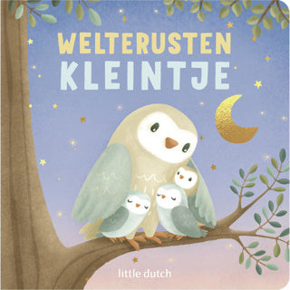 Boek little dutch weltrusten kleintje