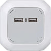 Brennenstuhl Alea-Power 2xusb-Charger + Plug 4 Time