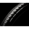 Goodyear - xplr inter tlr 700x50c transparente