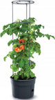 Prosperplast vorstbestendige tomatenpot tomatenteler ipom300