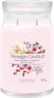 Candela yankee
