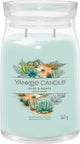 Yankee Candle - vela perfumada en tarro grande de aloe y agave - 90 horas de combustión - dos mechas