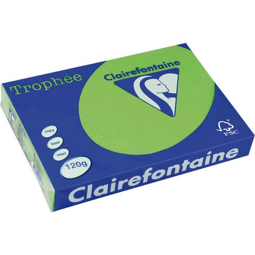Papel clairfontaine 1293c a4 120g verde