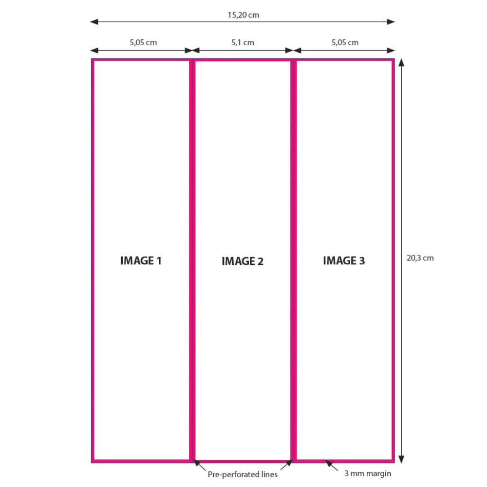DNP Paper 2 Roll � 200 St. 15x20 Perforato su 5x20 e 10x20 cm per DS620