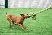 Happy pet king size tug flostouw - afbeelding 4