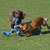 Happy pet flossin fun 3 knoop