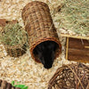 Happy pet wilgen tunnel