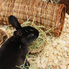 Nature first happy pet wilgen hooirek