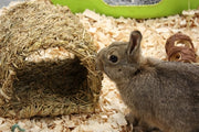 Happy pet grassy tunnel - afbeelding 2