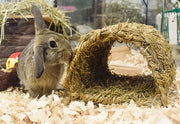 Happy pet grassy tunnel - afbeelding 3