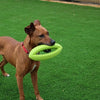 Happy pet grubber interactieve rugbybal