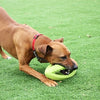 Happy pet grubber interactieve rugbybal