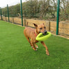 Happy pet grubber interactieve rugbybal