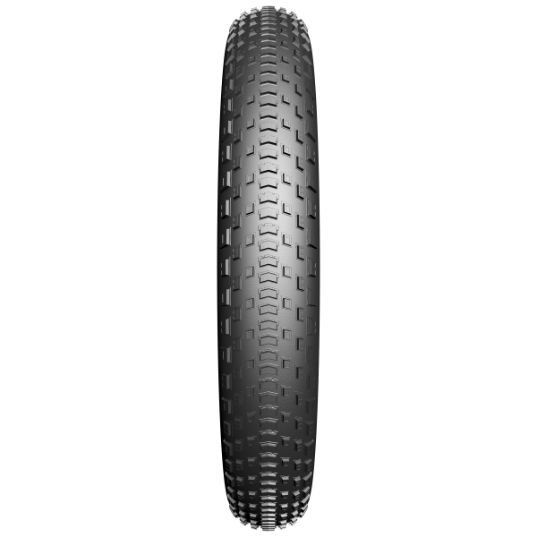 Fatbike Fatbike Fatbike de borde BST Protect 20 x 4.00 100-406 mm negro