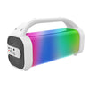 Idance Party Speaker Cyclone White With Light