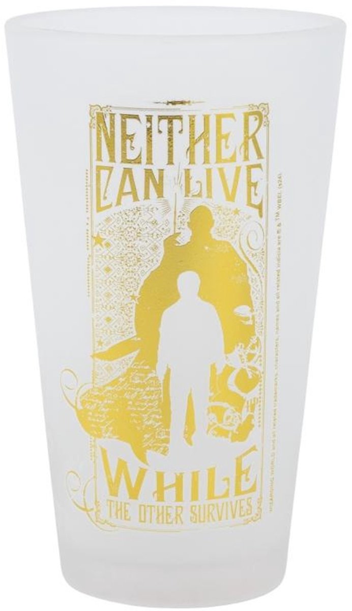 Warner Bros. entertainment Harry Potter, set di 2 bicchieri da 490 ml collezione Golden Magic, elegante design opaco, trasparente