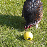 Savic Chicken Play Chicken Fun Fun - afbeelding 3