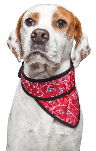 Aqua Coollekeeper Bandana Aqua Coolkeeper Red Western