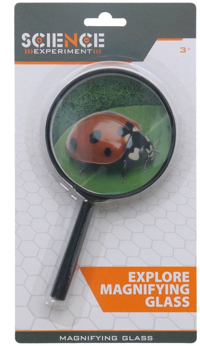 Lente d'ingrandimento scientifica 9,5 cm | 6 pezzi