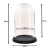 Clayre EEF Clayre EEF STOLP 6GL3474 Transparente 20x28 cm