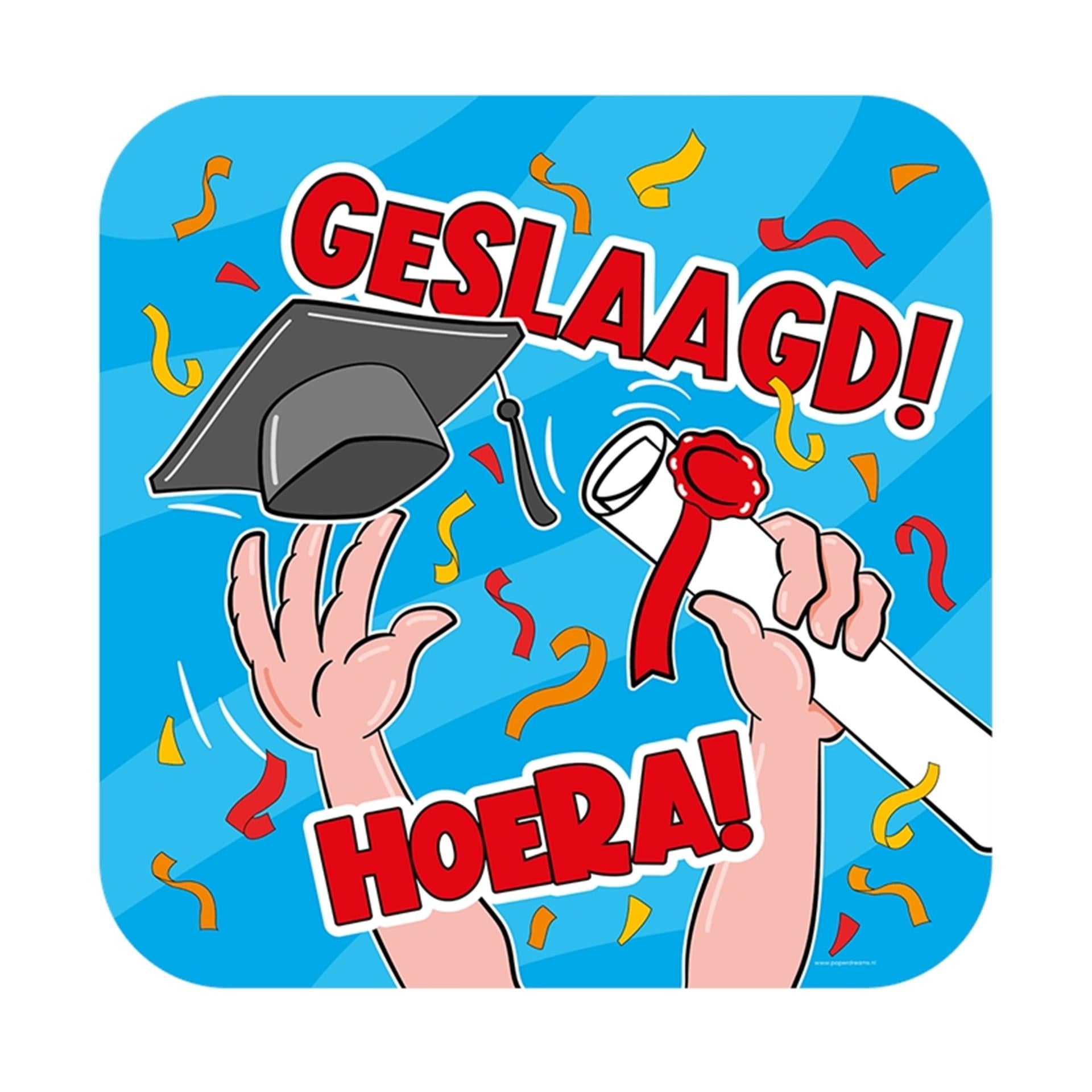 Paperdreams huldeschild - geslaagd cartoon