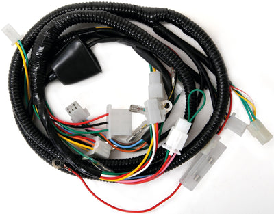 Arnés de 101 octanos Electricidad. Kpl. Chinaroller Rex, Qinqgi