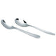 Theelepel resistance chroom rvs