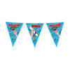 Paperdreams party vlag - geslaagd school cartoon