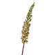 Roberts collection kunstbloem eremurus woestijnstaart 106cm creme