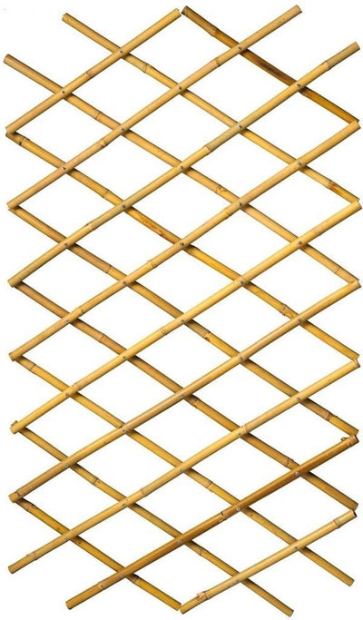 Nature Nature Latwerk for Garden 70x180 cm Bamboo 6040721
