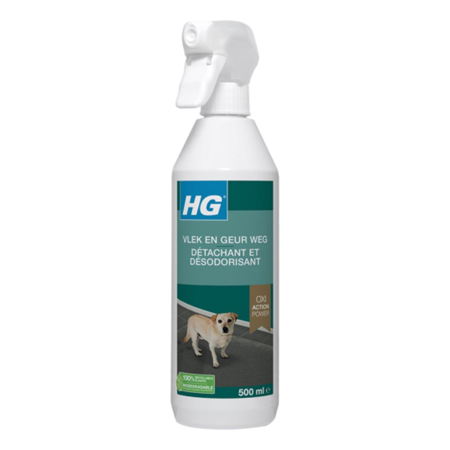 Hg macchia l'odore del cane