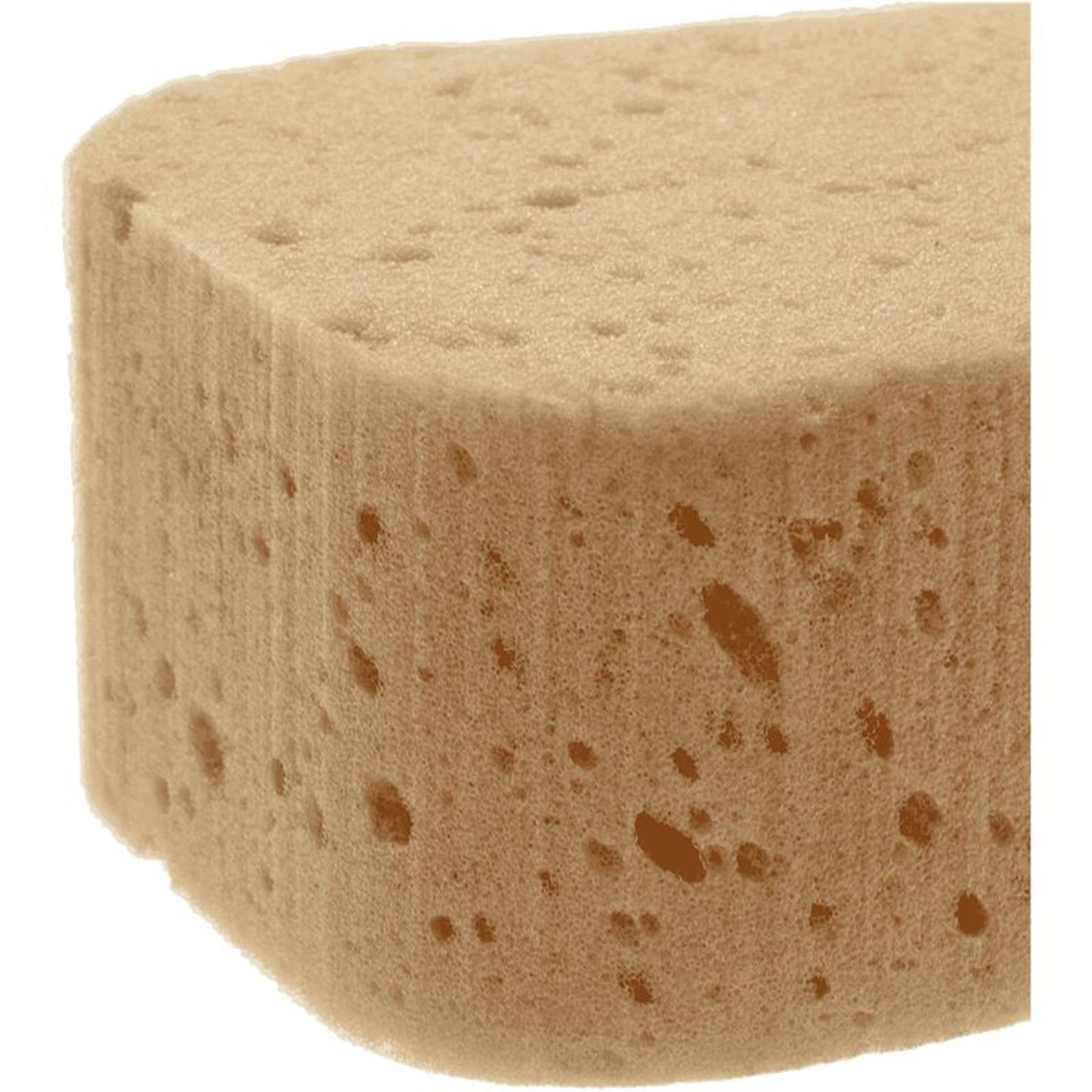 Spugna tuttofare per auto Vero 18,5 cm