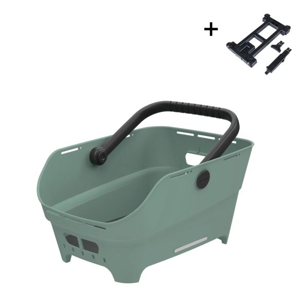 Cesta de albahaca cento neo wsl mik