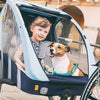 Bellelli kinder fietskar 2 in 1 trailblazer
