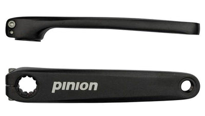 Pignone
