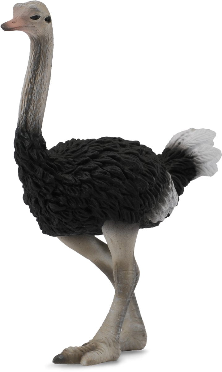 Statuetta Collecta - struzzo - (l) - animali selvatici - dipinta a mano - miniatura