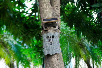 Camera selvatica WiFi Solar Gear Solar Gear Owl Solar 4K