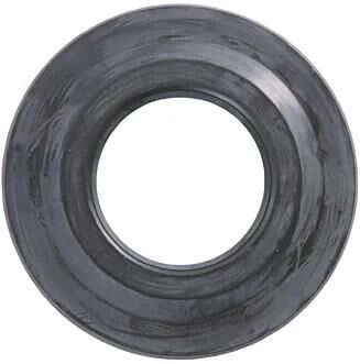 Anello di tenuta olio RMS 31x62,1x5,8